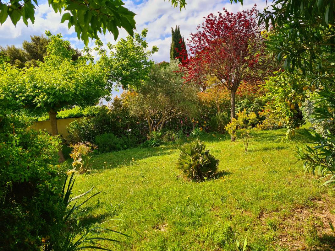 Photo Magnifique villa image 3/4