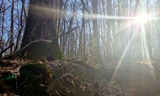 Photo N° 3