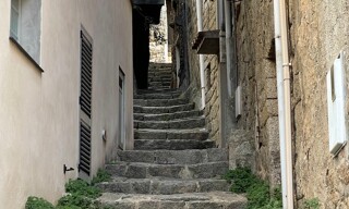 Photo N° 3