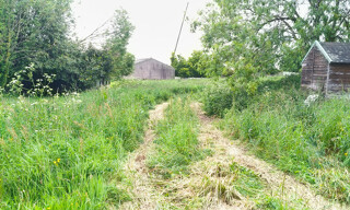 Photo N° 3