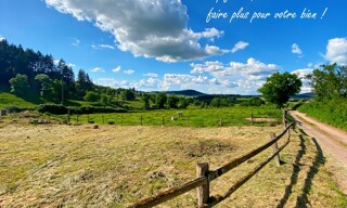 Photo N° 4