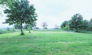 Photo N° 3