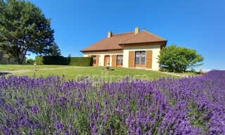 Maison 9 Pièces 216 m² à vendre à Pierre-de-Bresse (71270)