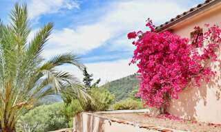 Maison 3 Pièces 89 m² à vendre à Serriera (20147)