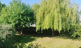 Photo N° 6