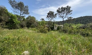 Terrain  1500 m² à vendre à Valbonne (06560)