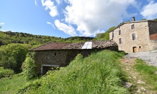 Photo N° 3