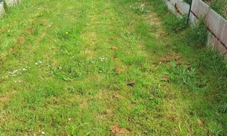 Photo N° 3