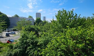 Photo N° 4
