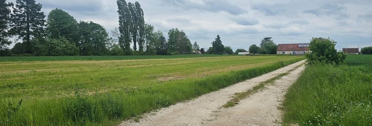 Terrain  4026 m² à vendre à Laperrière-sur-Saône (21170)