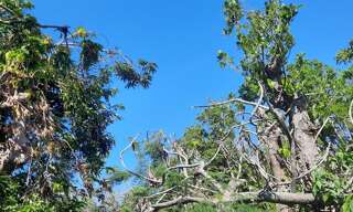 Maison 5 Pièces 90 m² à vendre à Saint-André (97440)