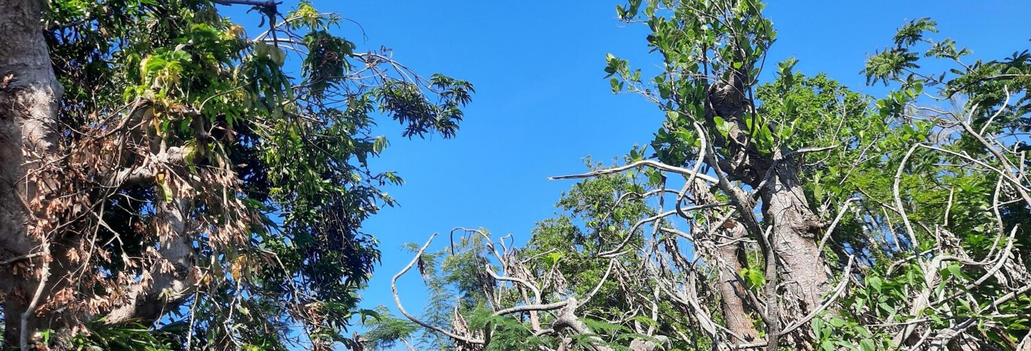 Maison 5 Pièces 90 m² à vendre à Saint-André (97440)