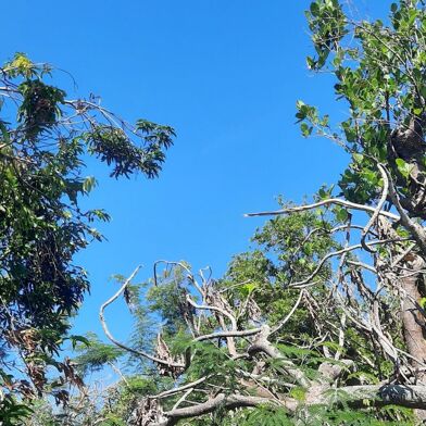 Maison 5 pièces 269000 €