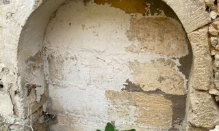 Photo N° 6