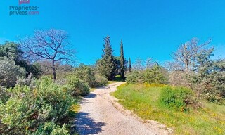 Photo N° 4