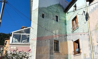Photo N° 6
