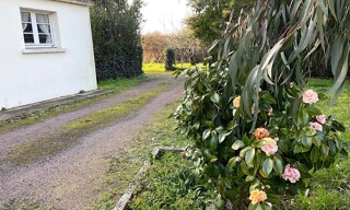 Photo N° 3