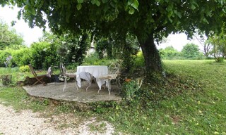 Photo N° 7