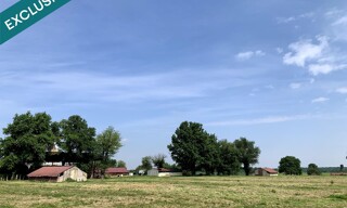 Photo N° 4