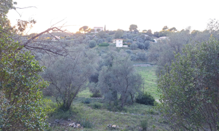 Terrain   m² à vendre à Grasse (06130)