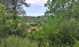 Terrain  m² à construire Grasse (06130)