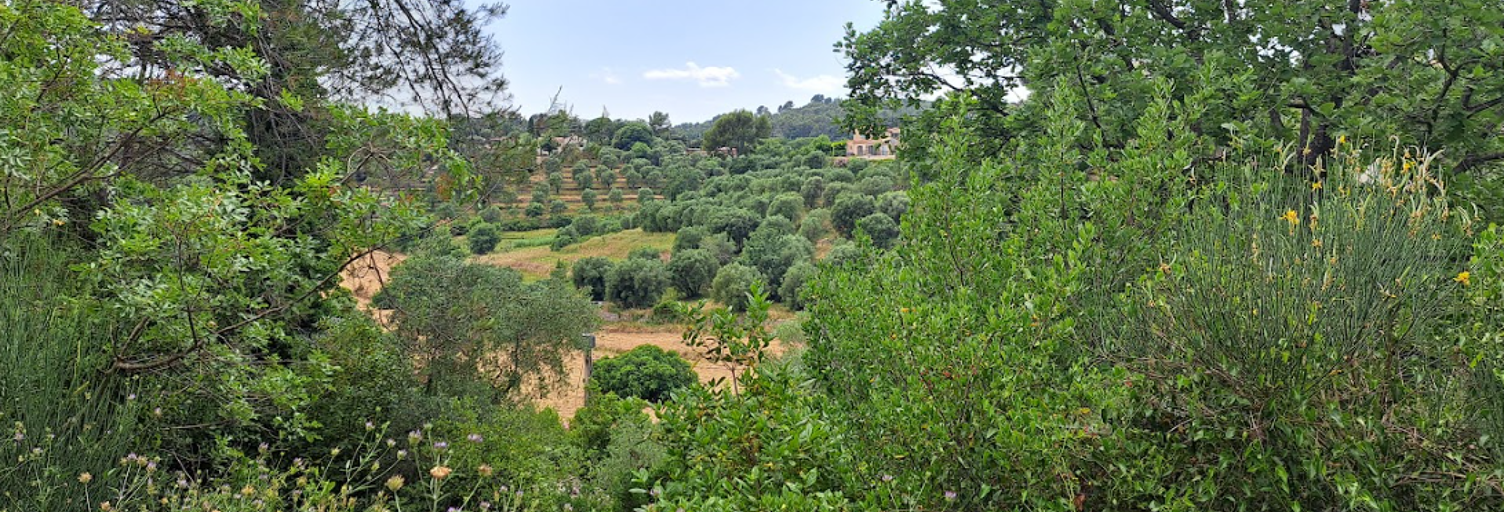 Terrain  m² à construire Grasse (06130)