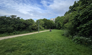 Photo N° 3