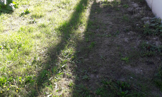 Photo N° 3