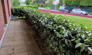 Photo N° 8