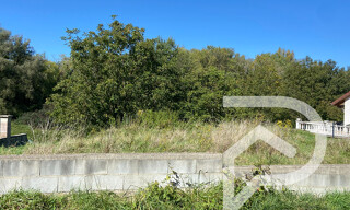 Photo N° 4