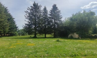 Photo N° 8