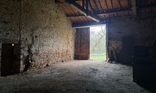 Photo N° 6