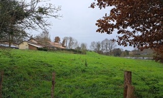 Photo N° 8