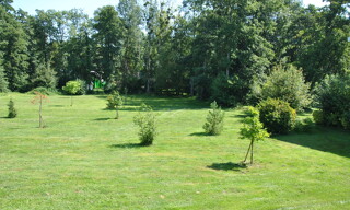 Photo N° 4