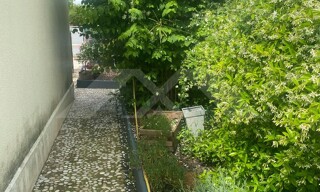 Photo N° 6