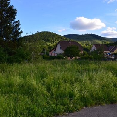 Terrain  60000 €