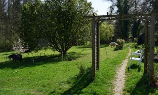 Photo N° 3