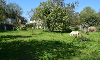Photo N° 4