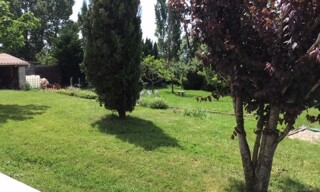Photo N° 14