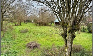 Photo N° 4