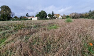 Photo N° 3