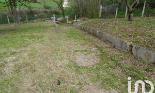 Photo N° 5