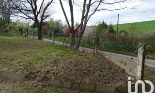Photo N° 6