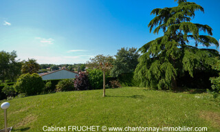 Photo N° 3