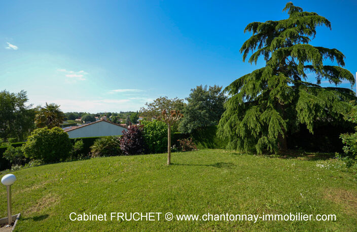 CHANTONNAY - Vaste maison 3 chambres + logement type 2 — photo 3