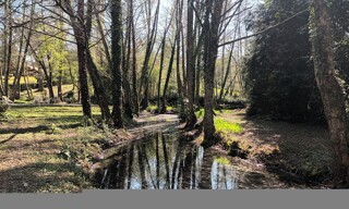 Photo N° 3