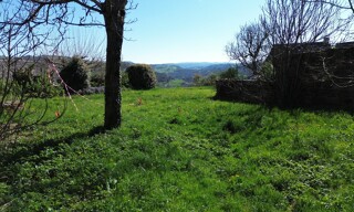 Photo N° 4