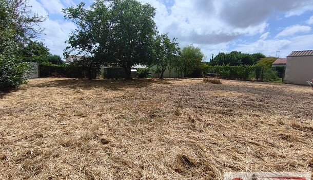 Terrain  à vendre Thairé 17290
