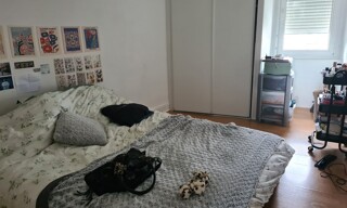Photo N° 3