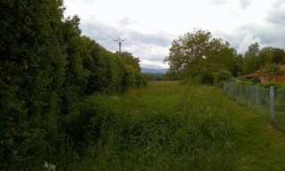 Photo N° 3